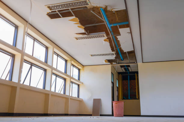 Best Fire Damage Restoration  in Harrison, TN