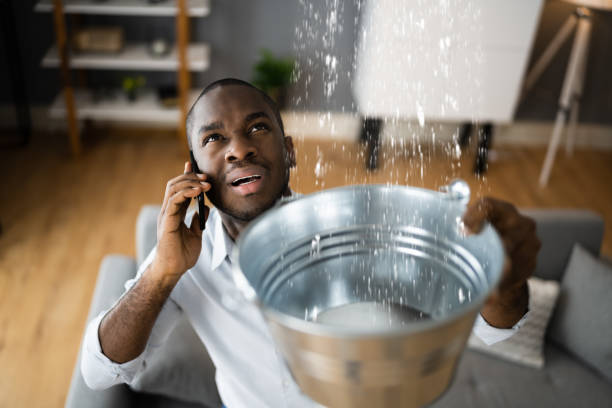 Best Water damage contractors near me  in Harrison, TN
