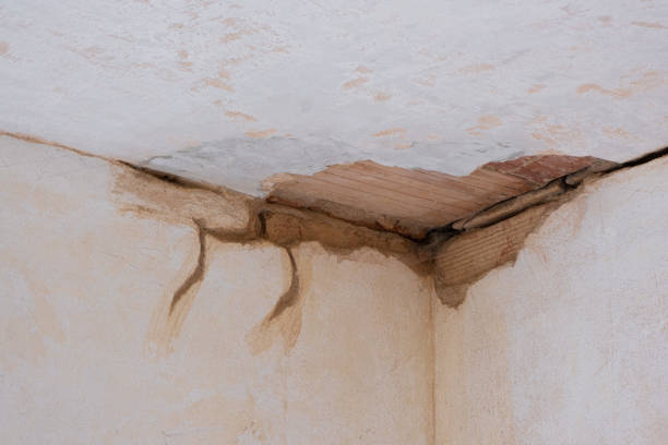 Best Water damage restoration specialists  in Harrison, TN