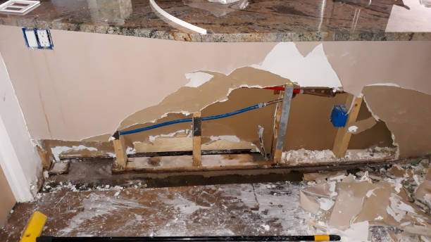 Best 24-hour water damage restoration  in Harrison, TN