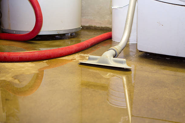 Best Carpet water damage restoration  in Harrison, TN